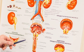 Ботулинотерапию в лечении урологических заболеваний начали применять в «Медлюксе»